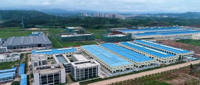 簽約28個項目引資381億，肇慶綠色農副產品集散基地強勢崛起，賦能國內旅游服務升級